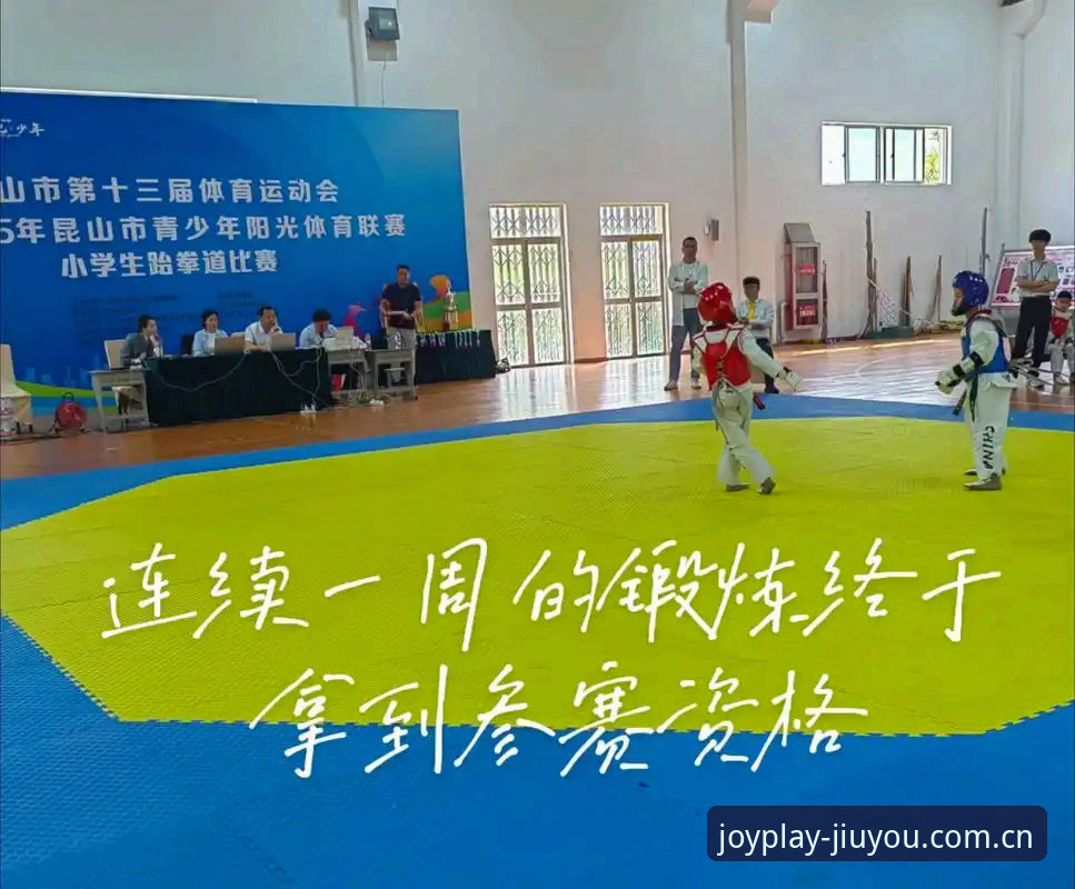 九游体育平台深度评测：第十三年驻站2025网页登录，安卓注册与赛事数据谁更流畅？